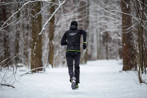 朝の冬の森の中の木の間を走る運動選手の後ろからの写真 — ストック写真