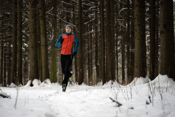 朝の冬の森の木の中で実行している運動選手の写真 — ストック写真