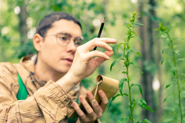 Toned Foto Homem Com Notebook Lápis Floresta Entre Plantas Tarde — Fotografia de Stock