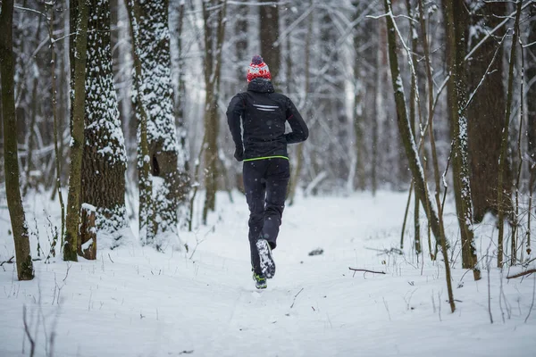 朝の冬の森の中の木の間を走る運動選手の後ろからの写真 — ストック写真