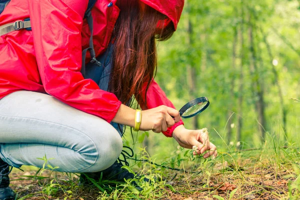 Foto Van Meisje Met Vergrootglas Studerende Planten Zomerbos — Stockfoto