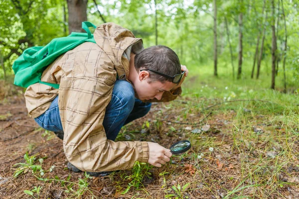 Image Homme Avec Loupe Examine Les Plantes Dans Les Bois — Photo