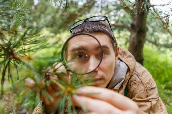 Immagine Ragazzo Con Lente Ingrandimento Accanto Pino Nella Foresta Giorno — Foto Stock