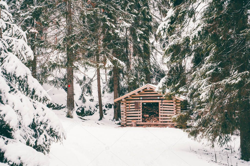 Photo of picturesque winter landscape.