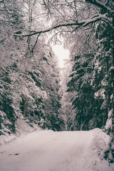 Imagem de uma estrada e árvores com neve . — Fotografia de Stock