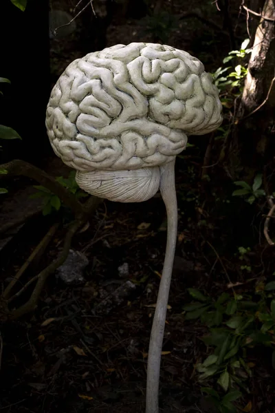 insan beyninin beyaz oyması