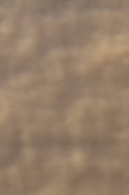 Brighton sahilinde çamurlu deniz dokusu