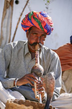 Hint yılan oynatıcısı ve kobra.