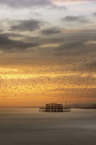 Pôr Sol Pastel Brighton Reino Unido — Fotografia de Stock