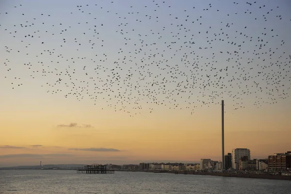 Alacakaranlıkta Brighton 'da gezinti