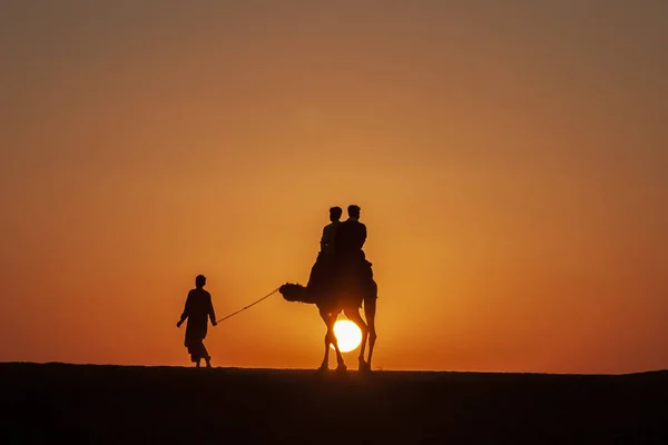 Indo Para Casa Camelos Pôr Sol Deserto Rajastan Thar — Fotografia de Stock