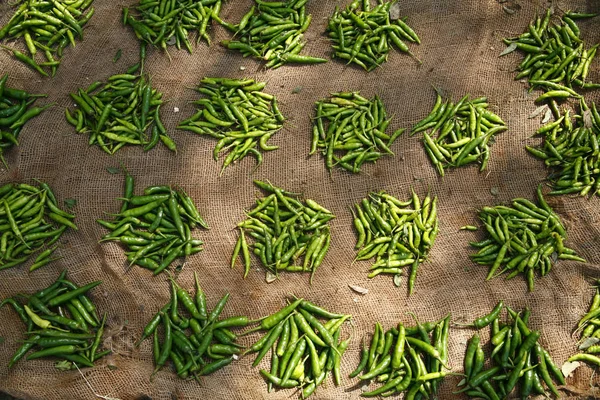 small groups of green chillies