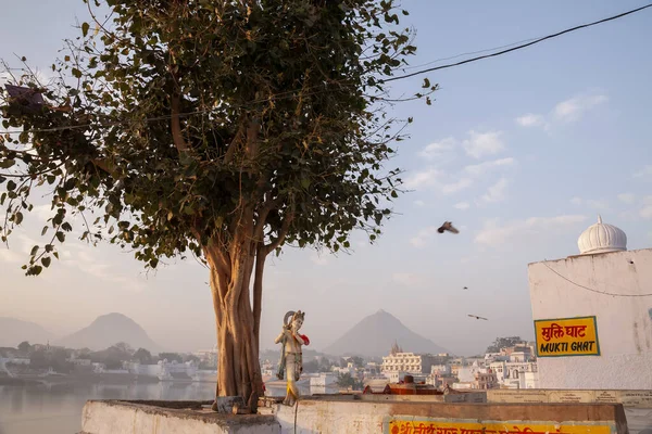 Hindistan 'daki Pushkar' da Krishna heykeli