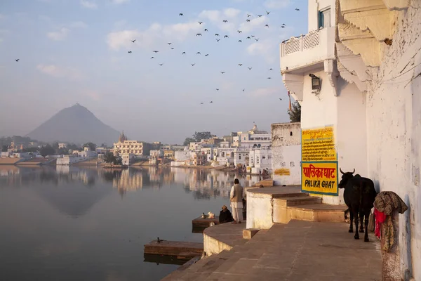Sabahın erken saatlerinde Hindistan 'daki Pushkar' da