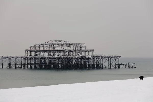 Brighton Δυτική Προβλήτα Καλυμμένη Χιόνι — Φωτογραφία Αρχείου