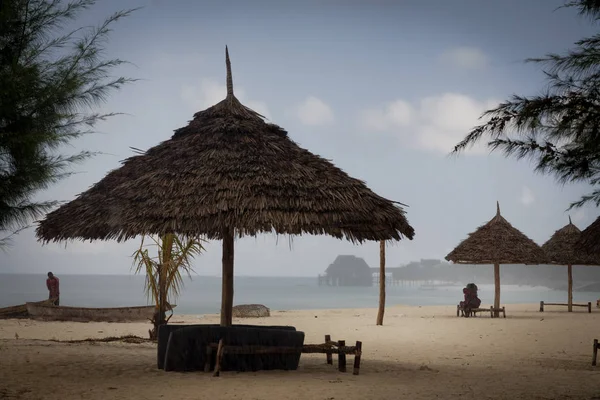 Zanzibar 'daki yağmur fırtınası sırasında siper alıyorlar