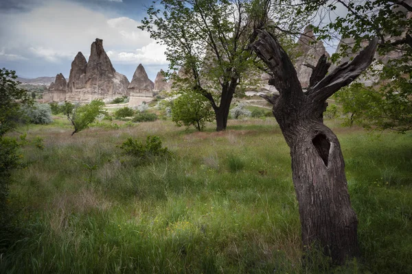 Türkiye 'deki kapsül kaya oluşumlarının görüntüleri