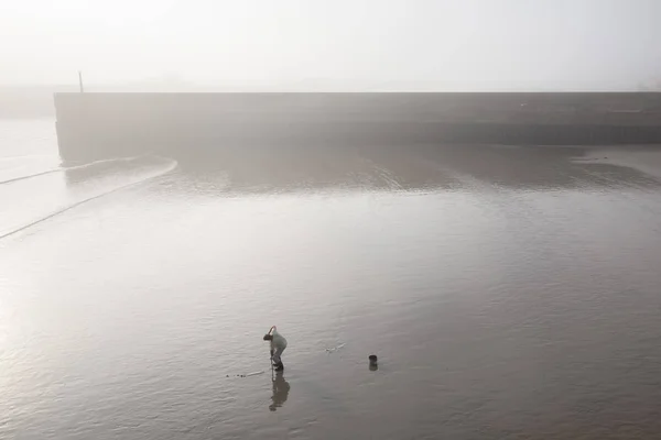 Sahilde solucan arayan bir adam var.