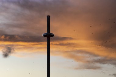 i360 Brighton 'da gün batımında martılarla