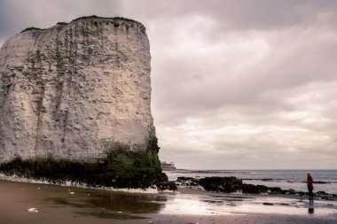 Kent Botany Körfezi 'nde tebeşir kaya oluşumları