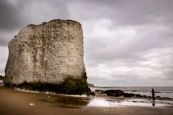 Kent Botany Körfezi 'nde tebeşir kaya oluşumları