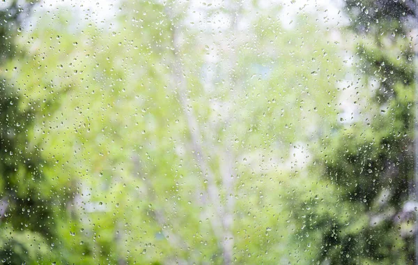Krople deszczu na okno latem. — Zdjęcie stockowe