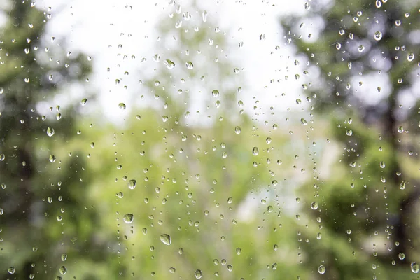 Rain drops on the window in summer. — Stock Photo, Image