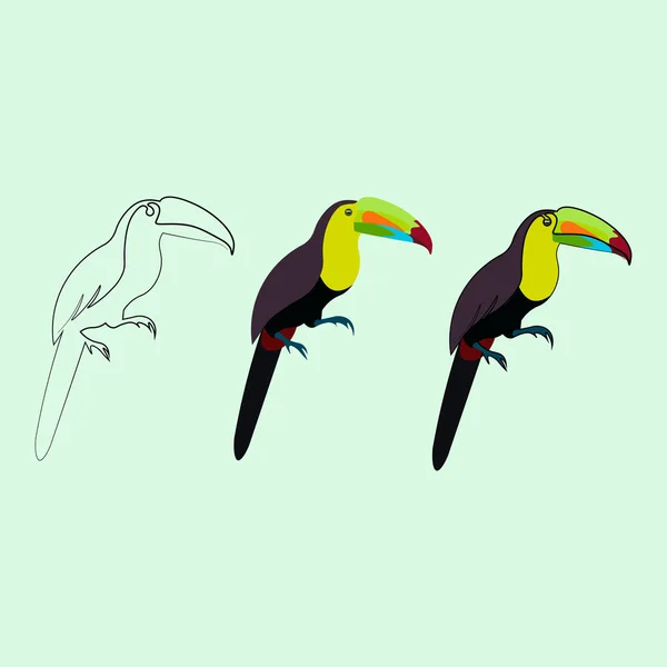 Toucan Oiseau Aquarelle Illustration Vectorielle Couleur — Image vectorielle