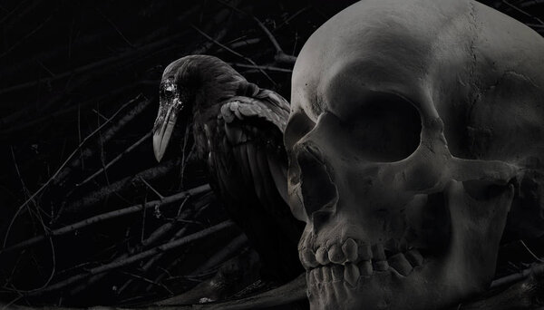 Crow and skull composition.