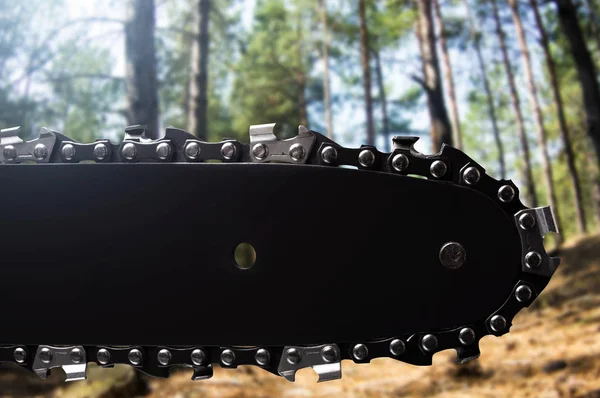 日の森の背景にクローズ アップ黒チェーンソー刃の写真 — ストック写真