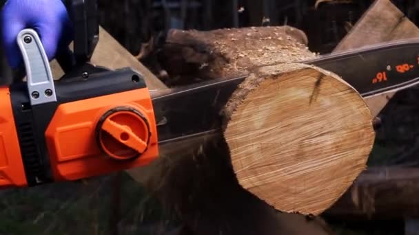 Werknemer Met Chainsaw Snijden Hout Close Video Foto Van Een — Stockvideo