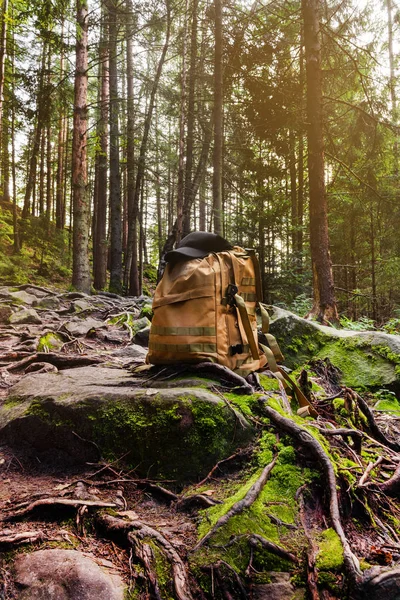 苔、岩、根やバックパックと森の風景写真. — ストック写真