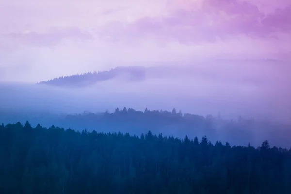 안개낀 아침 하늘을 배경으로 나무로 된 산들의 모습. — 스톡 사진