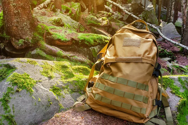 Fotografia da paisagem florestal com musgo, rochas, raízes e mochila . — Fotografia de Stock