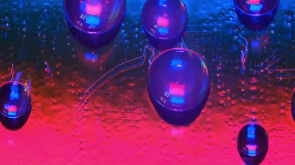 Blasen Auf Der Oberfläche Mit Wechselnden Farben Abstrakte Bunte Hintergrund — Stockvideo