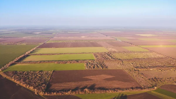 Plattelandsbedrijf groene en bruine landbouwvelden. Luchtfoto — Stockfoto