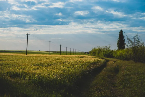 Paisaje rural con una carretera. tierra de cultivo, naturaleza, paisaje agrícola. fondos del campo — Foto de Stock