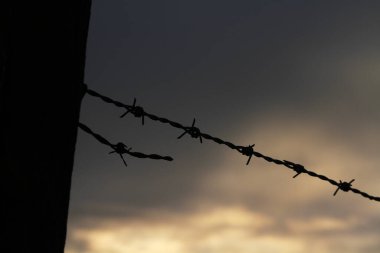 Çiftlik arazisindeki eski, aşınmış dikenli tel çitlerin akşamı silueti.
