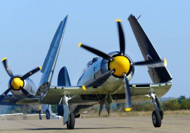 Hawker Sea Fury, Hawker Aircraft tarafından tasarlanan ve üretilen bir İngiliz savaş uçağı. Kraliyet Donanması 'nda görev yapan son pervane güdümlü avcı uçağıydı ve şimdiye kadar üretilen en hızlı tek motorlu uçaklardan biriydi..