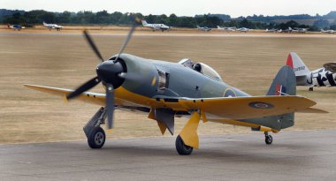 Hawker Sea Fury, Hawker Aircraft tarafından tasarlanan ve üretilen bir İngiliz savaş uçağı. Kraliyet Donanması 'nda görev yapan son pervane güdümlü avcı uçağıydı ve şimdiye kadar üretilen en hızlı tek motorlu uçaklardan biriydi..
