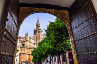 Seville, Endülüs 'ün renkli caddesi, İspanya 