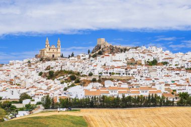 İspanya 'nın Endülüs kentinin en güzel beyaz köylerinden biri olan Olvera köyünün manzarası