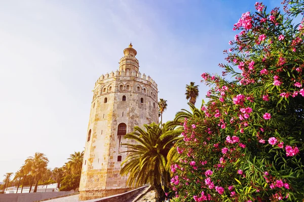 Torre Del Oro Gyllene Tornet Sevilla Spanien — Stockfoto