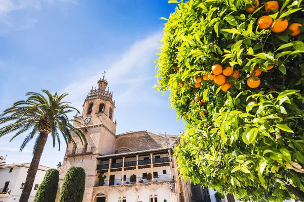 Utsikt Över Byn Ronda Berömda Vita Byarna Pueblos Blancos Andalusien — Stockfoto