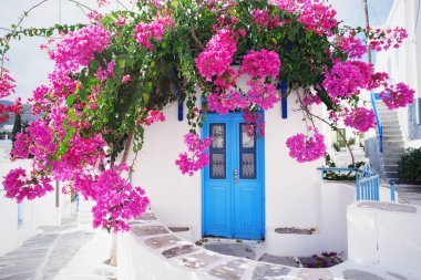 Yunanistan 'ın Paros adasında çiçekli geleneksel Yunan evi.