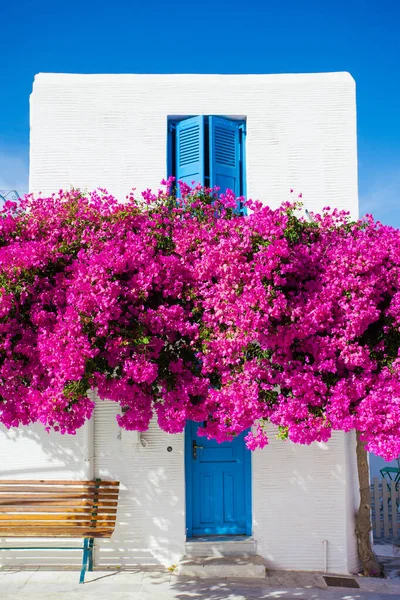 Traditionelles Griechisches Haus Mit Blumen Paros Griechenland — Stockfoto