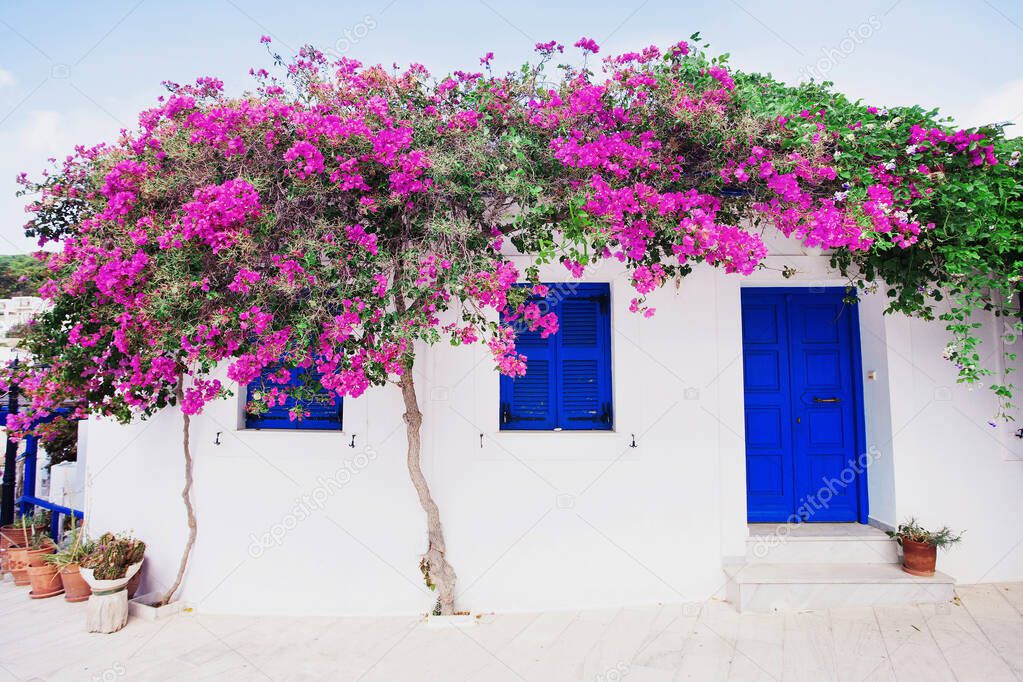 Traditional greek house with flowers in Paros island, Greece.
