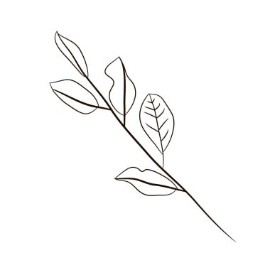 Manolya brunch 'ının el çizimi öğesi ve grafik tasarımı için yaprak. Kalıplar, kartlar, logolar, posterler, çıkartmalar, ambalajlar, sosyal medya, tekstil. Stock vektör illüstrasyonu. Beyaz arkaplanda izole.