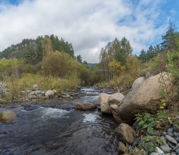 Mountain stream in Sayan — Stock Photo, Image