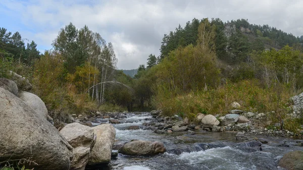 Mountain stream in Sayan — Stock Photo, Image